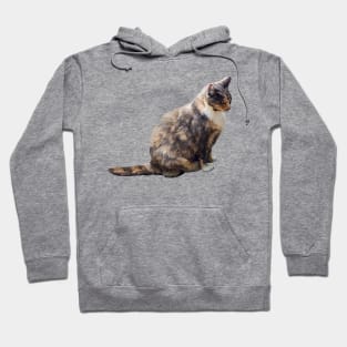 Tabby Cat in Shades of Brown Hoodie